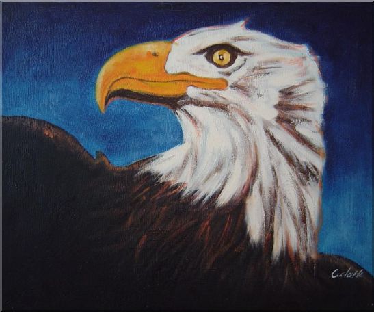 American Bald Eagle Head Oil Painting Animal Modern 20 x 24 Inches