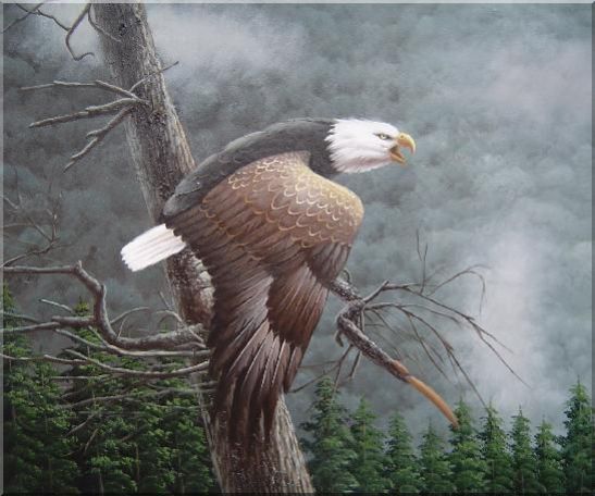 Flying American Bald Eagle and Forest Oil Painting Animal Naturalism 20 x 24 Inches