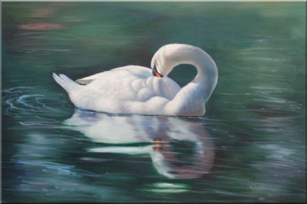 The Sleeping Swans >> Sleeping Swan In Placid Water Oil Painting Animal Naturalism 24 X 36 The Sleeping Swans >> Sleeping Swan In Placid Water Oil Painting Animal Naturalism 24 X 36