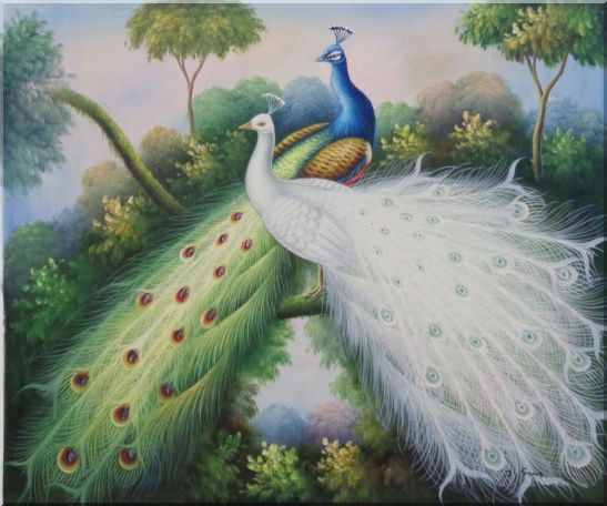 Peacocks with Bright Colorful Feathers Oil Painting Animal Naturalism 20 x 24 Inches