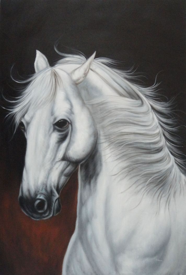 The Long Hair Beautiful White Horse - Horses - Animals Paintings