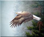 Bald Eagle, Mountain and Forest Oil Painting Animal Naturalism 20 x 24 inches