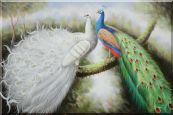 Beautiful White and Blue Peacocks Oil Painting Animal Naturalism 24 x 36 inches