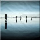 Wooden Poles Immersed in Sea Water  Oil Painting  32 x 32 inches