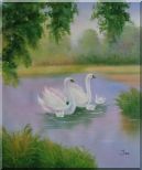 White Swans in Beautiful Lake Oil Painting Animal Classic 24 x 20 inches